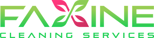 faxinecleaning.com